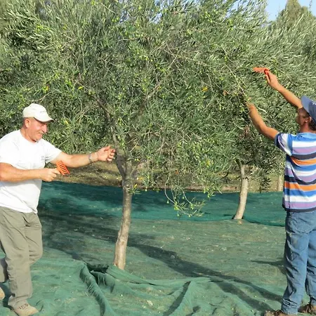 Valle Benuara Fulgatore
